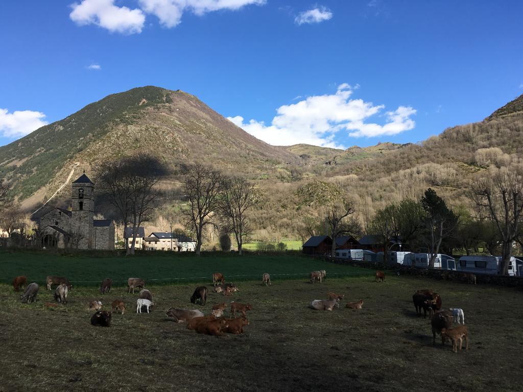 Camping Boneta Barruera Eksteriør bilde